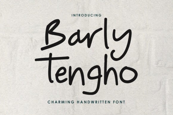 Barly Tengho: A Designer's Real-World Script Review