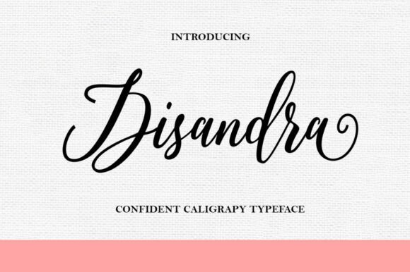 Disandra: A Sophisticated Script Font for Web Designers